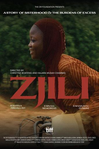 Zjili: A Story of Sisterhood and The Burdens of Excess (2026) poster