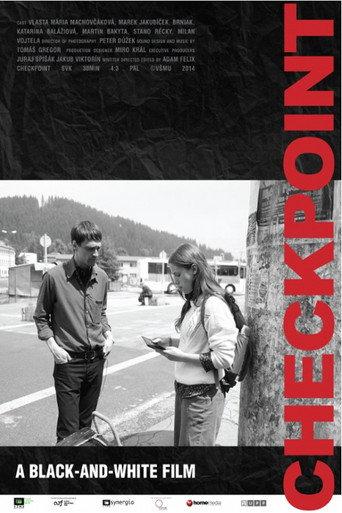 Checkpoint () poster