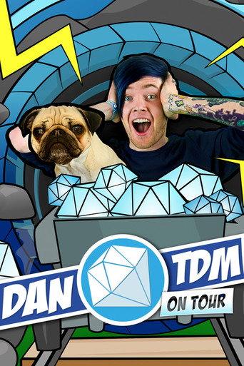 Dan TDM On Tour (2017) poster