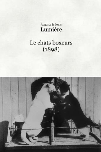 Les chats boxeurs (1898) poster