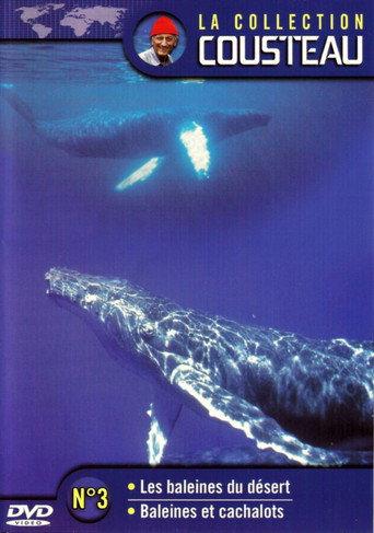 The Cousteau Collection N°3-1 | Desert Whales (1969) poster