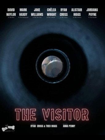 The Visitor () poster