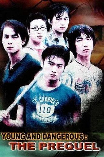 Young and Dangerous: The Prequel (1998) poster