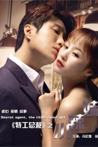 特工总裁小辣妹 (2018) poster