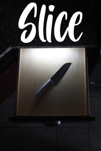 Slice (2025) poster