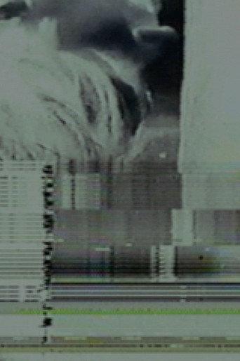 Static Discharge for Bleeding Eyes (2001) poster