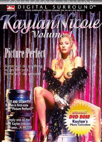 Picture Perfect (1995) poster