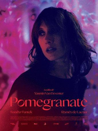 Pomegranate () poster