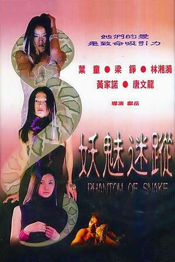 Phantom of Snake (2000) poster