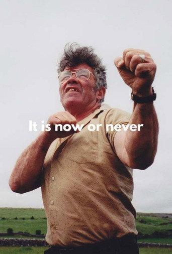It's Now or Never (1996) poster