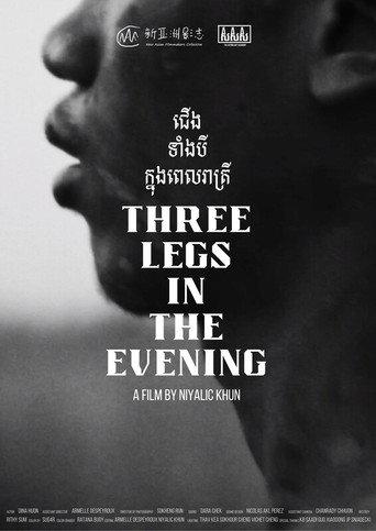 Three Legs in the Evening (2024) poster