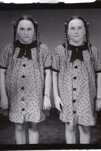 Twins (2002) poster