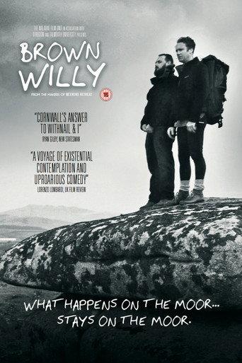 Brown Willy (2016) poster