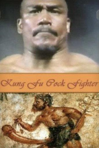 Kung Fu Cock Fighter (1976) poster
