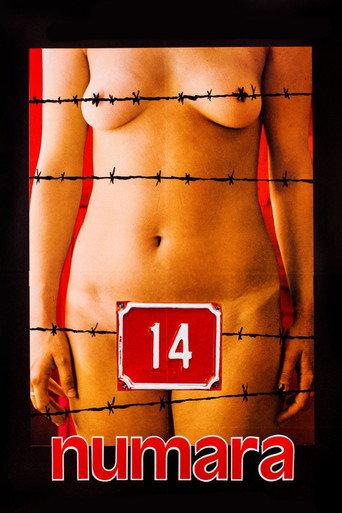 Number 14 (1985) poster