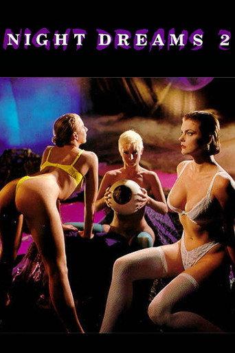 Night Dreams 2 (1990) poster