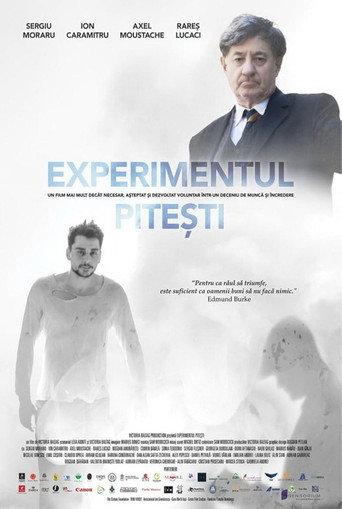The Pitești Experiment (2022) poster