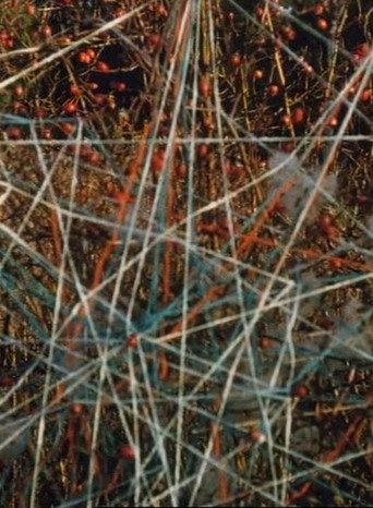 Toying with Strings (1999) poster