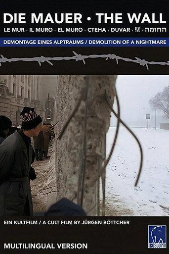 The Wall (1991) poster
