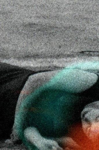 Le silence a disparu (2020) poster