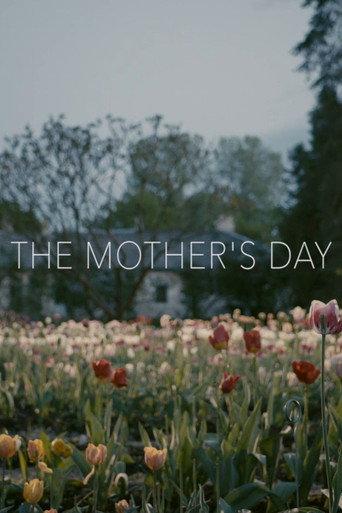 The Mother's Day (2017) poster