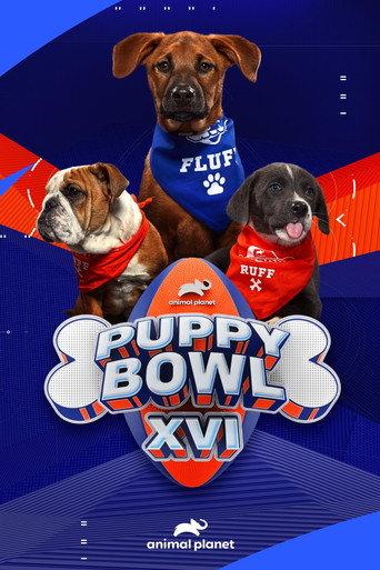 Puppy Bowl XVI (2020) poster