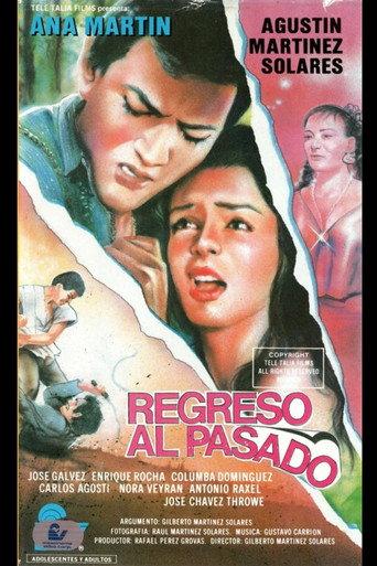 Regreso al Pasado () poster