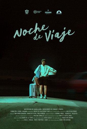 Night Trip (2024) poster