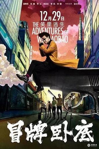 The Adventures of Wei BaoBao (2016) poster