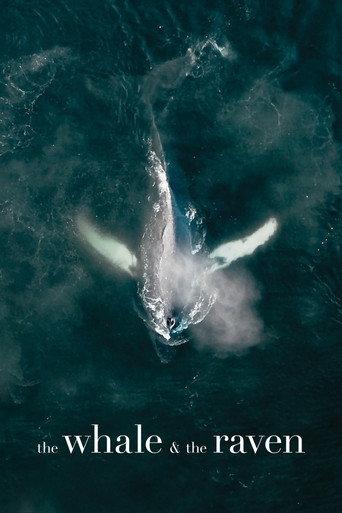 The Whale and the Raven (2019) poster