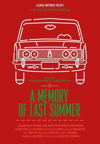 A Memory of Last Summer (2013) poster