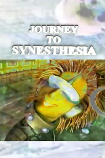 Journey to Synesthesia (1994) poster
