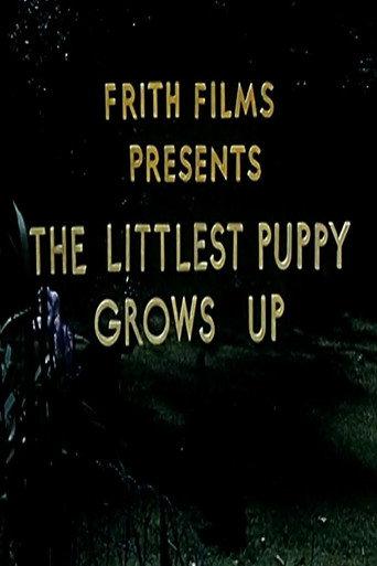 The Littlest Puppy Grows Up (1954) poster