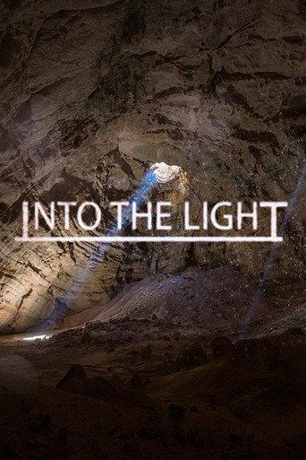 Into The Light (2014) poster