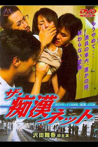 The Molester Net (1998) poster