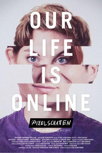 Pixelschatten (2012) poster