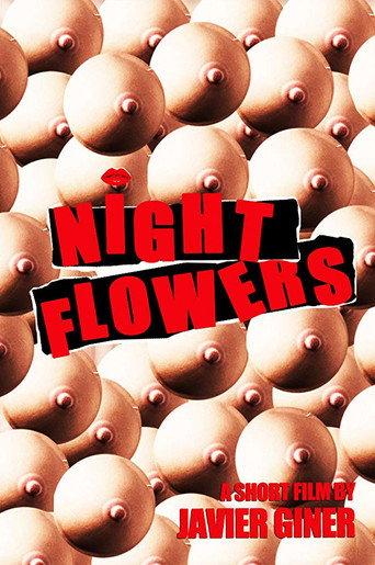 Night Flowers (2012) poster