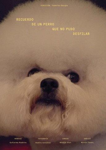 Memories from a Dog That Could Not Parade (2023) poster