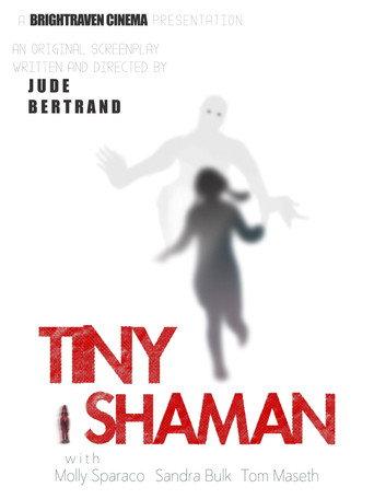 Tiny Shaman () poster