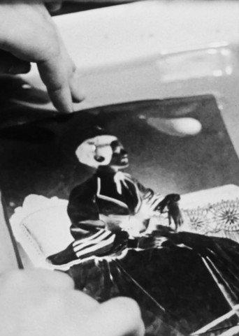 Negatives on Paper: Talbot’s Process () poster
