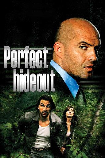 Perfect Hideout (2008) poster