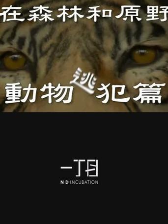 在森林和原野-動物逃犯篇 (2019) poster