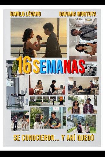 16 semanas () poster