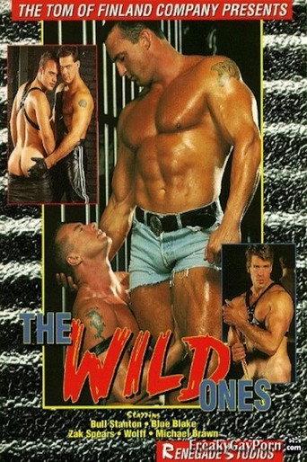 The Wild Ones (1994) poster