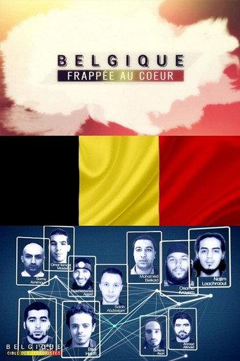 Belgique frappée au cœur (2017) poster