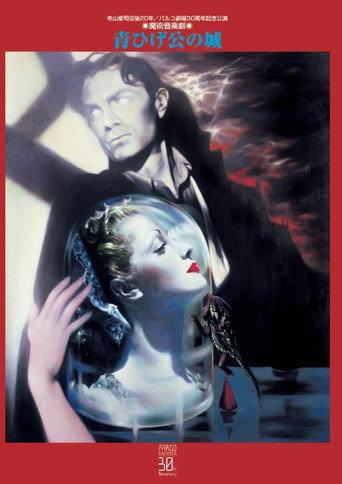 Bluebeard's Castle () poster