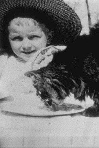 Cat's Lunch (1897) poster