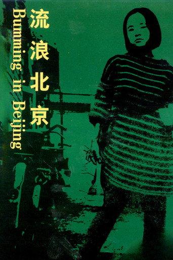 Bumming in Beijing: The Last Dreamers (1990) poster