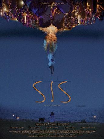 SIS (2025) poster