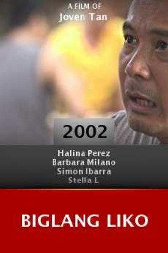 Biglang liko (2002) poster